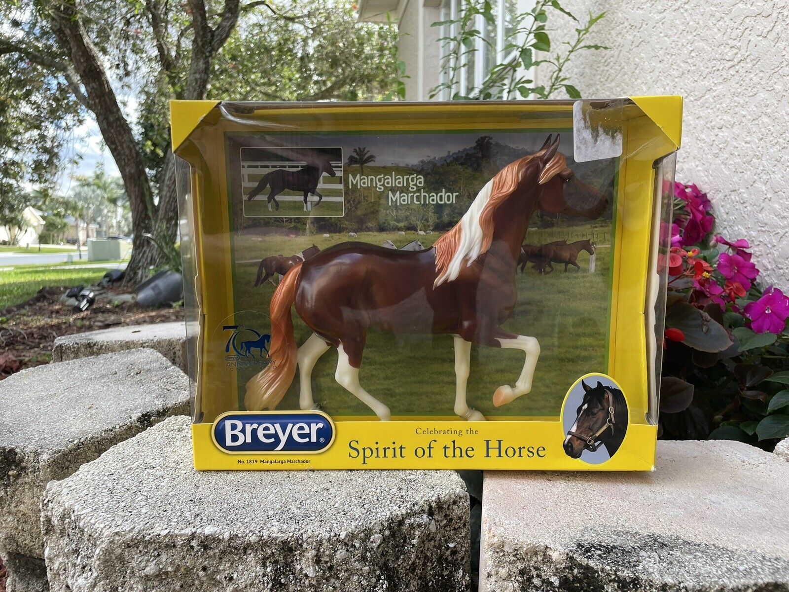 New NIB Retired Breyer Horse #1819 Enzo Chestnut Pinto Mangalarga Marchador