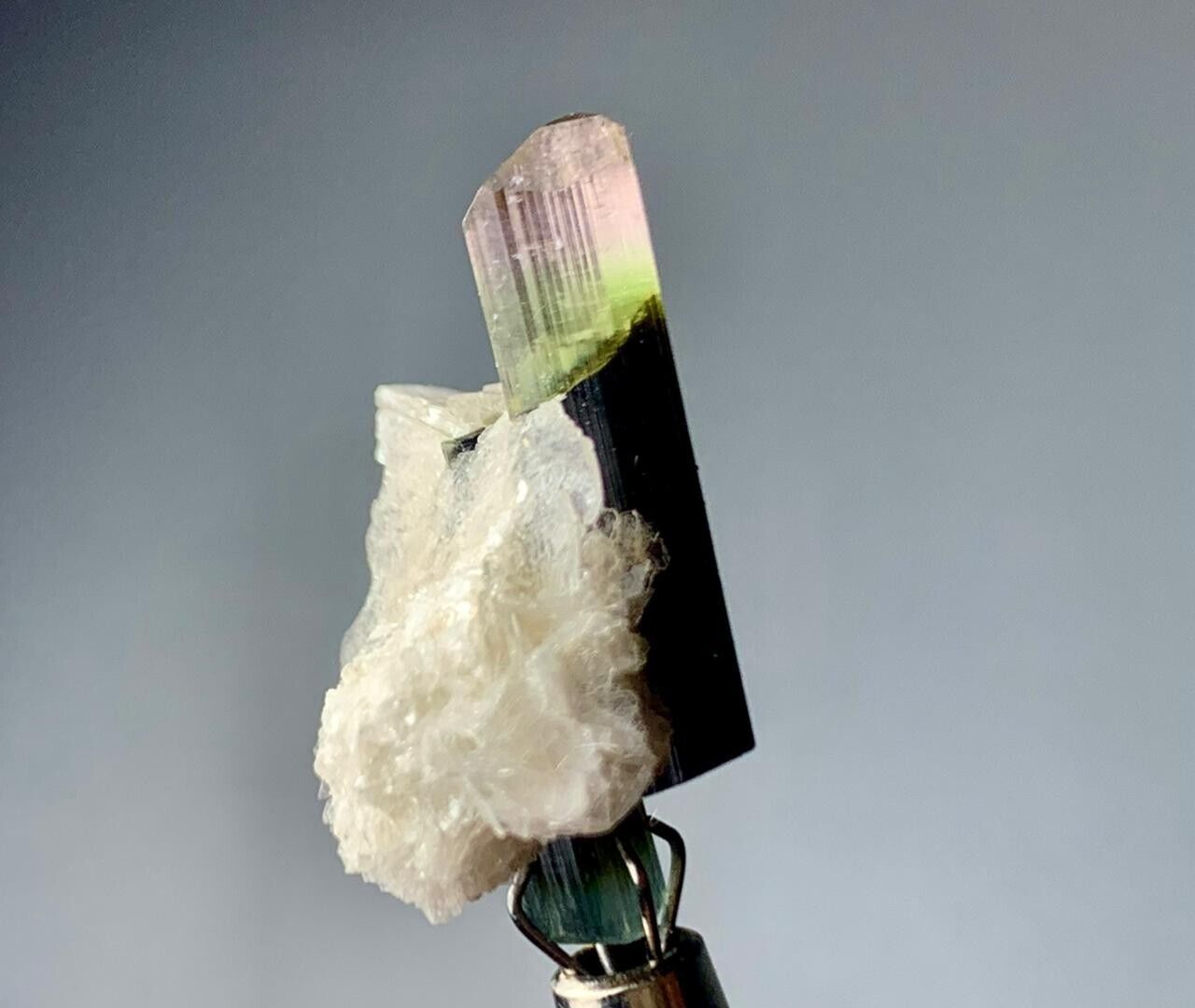 12.50 Carat beautiful terminated tricolor tourmaline crystal with albite @afgh