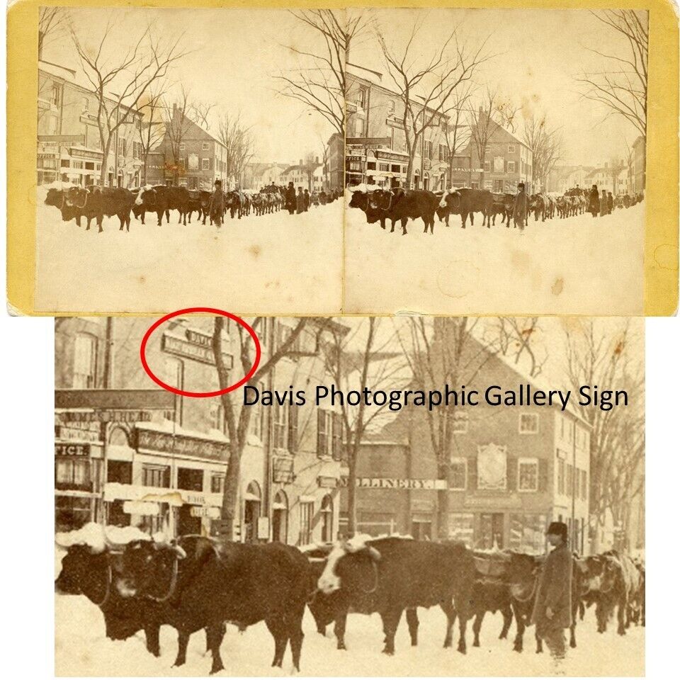 Portsmouth NH: Davis Bros Photo Gallery; Ox Team, Snow Jan. 17, 1867 C799