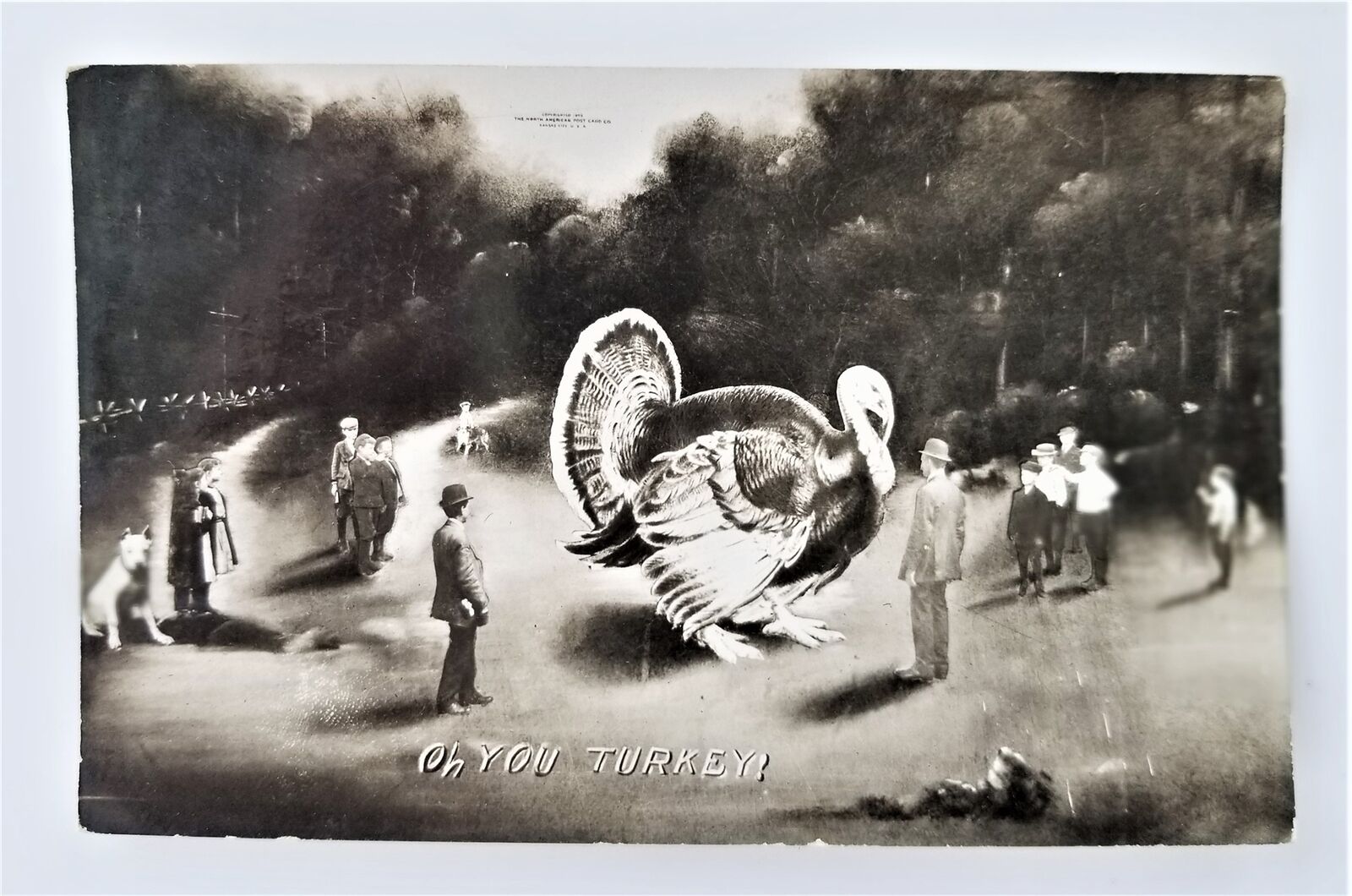 1909 antique RPPC GIANT TURKEY exaggeration THANKSGIVING