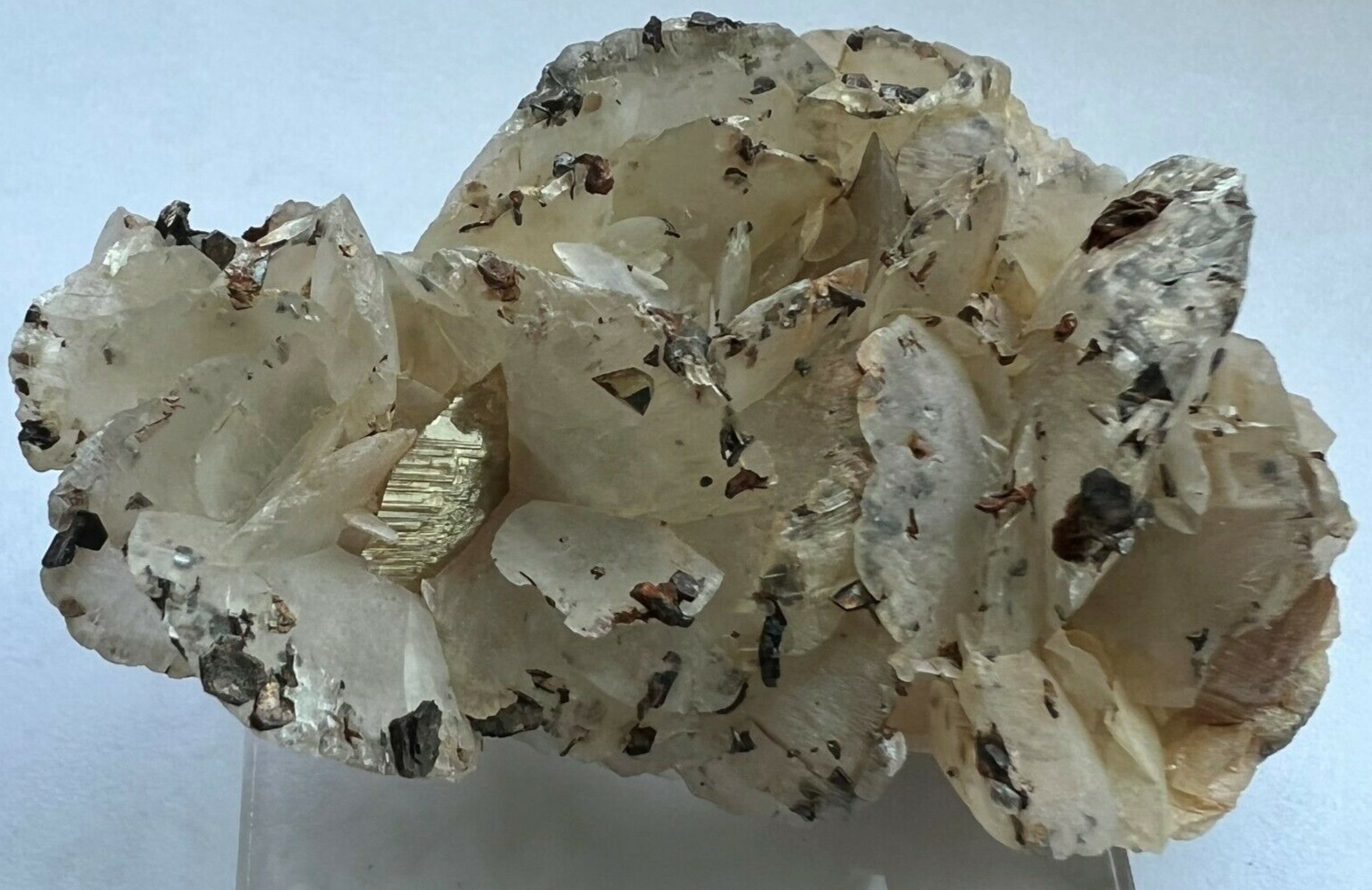 Classic Pyrrhotite on Dolomite from Brazil Must See Beauty
