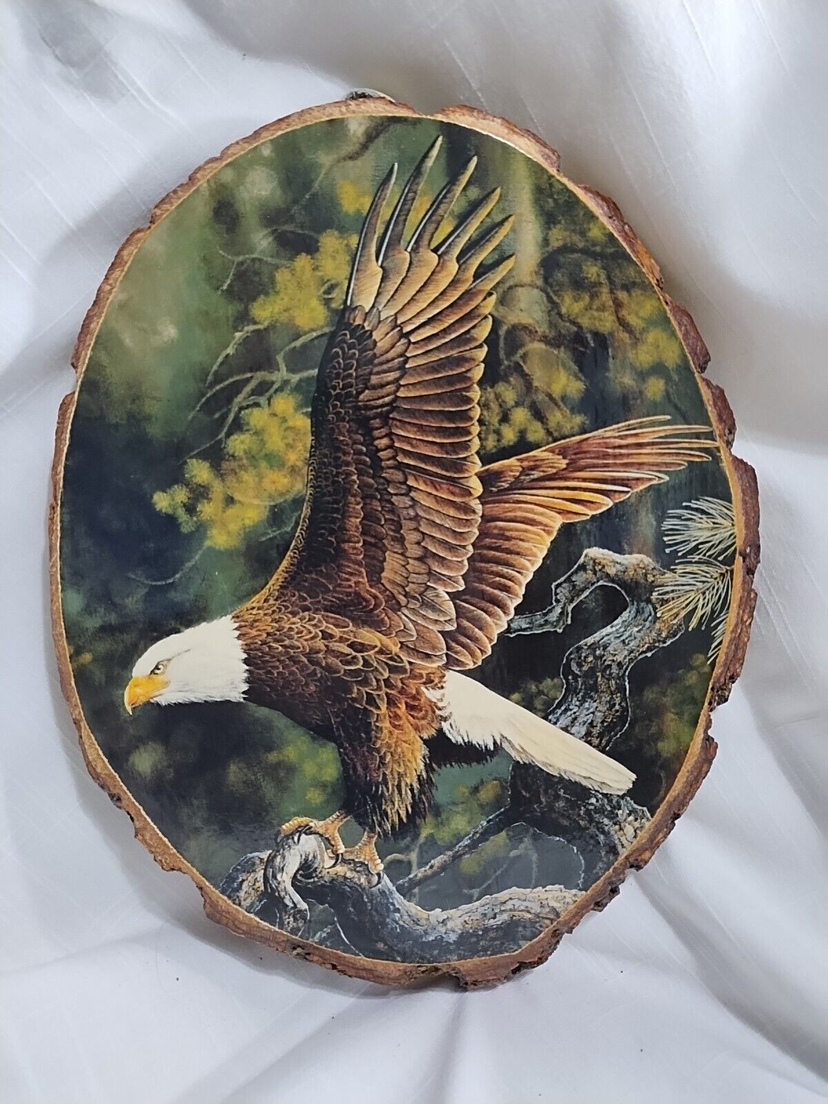 Canyon Eagle Bald Eagle Wall Decor Wood Slab Art Patriotic Bird Vintage  10\