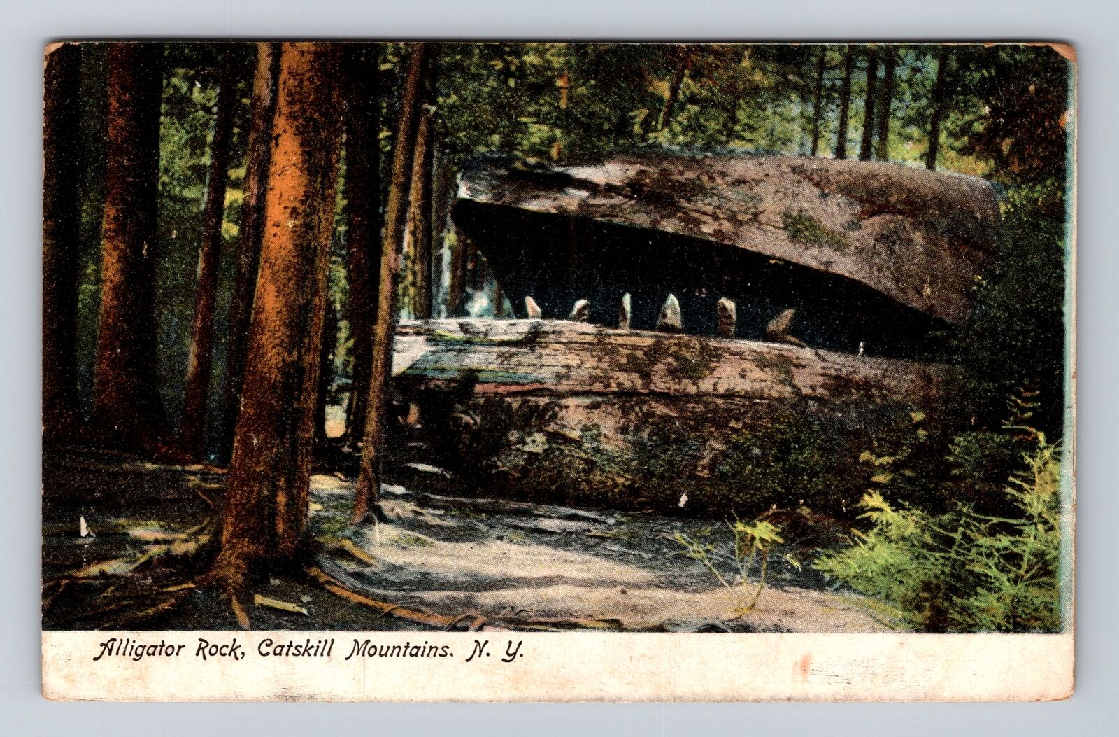 Catskill Mountains NY- New York, Alligator Rock, Antique, Vintage Postcard