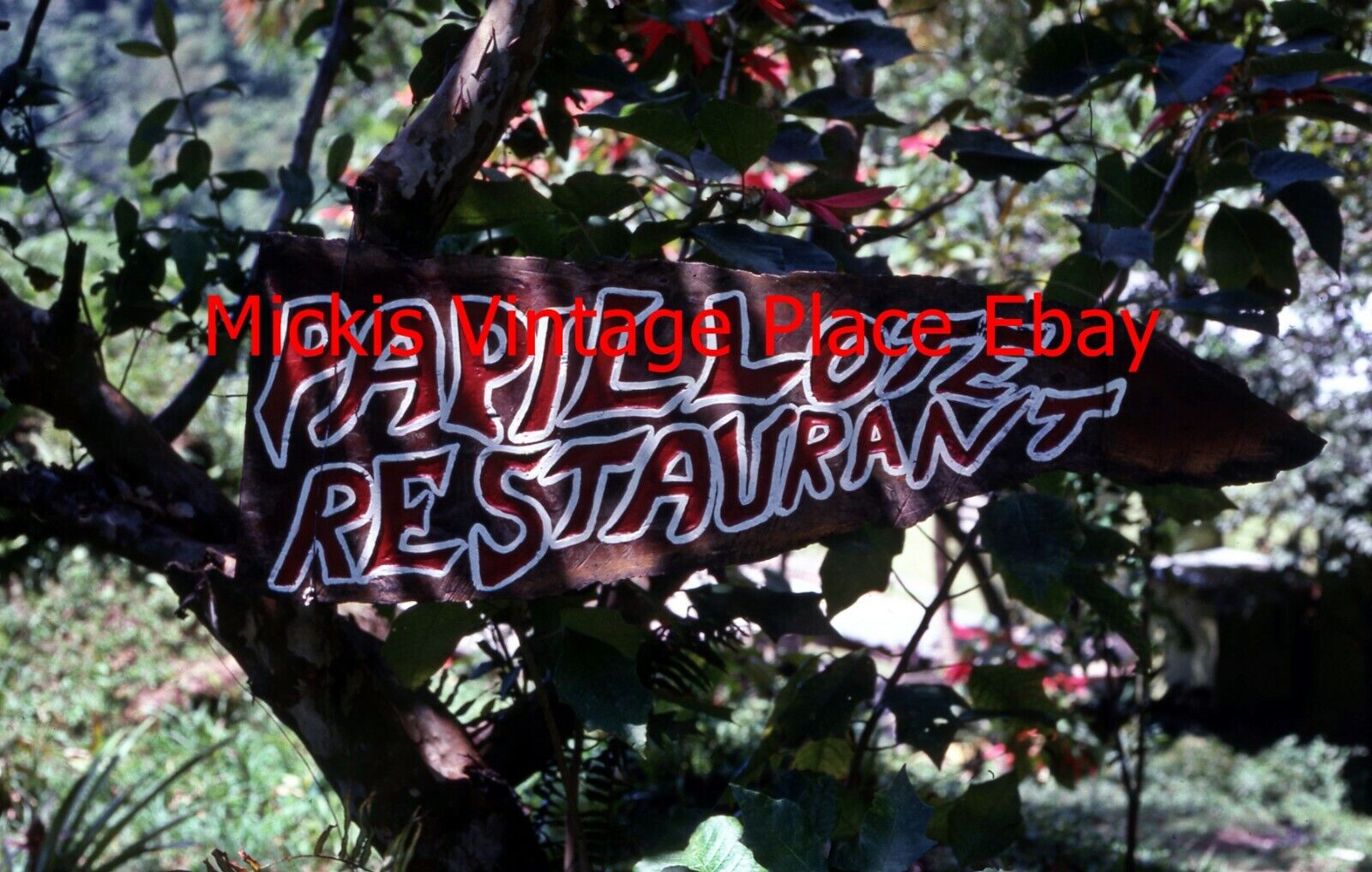 Vtg Original Slide 1983 Dominican Republic Papillote Restaurant Sign  v97