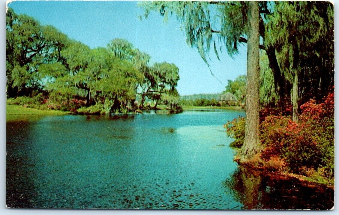 Postcard - A Lovely Southern Garden