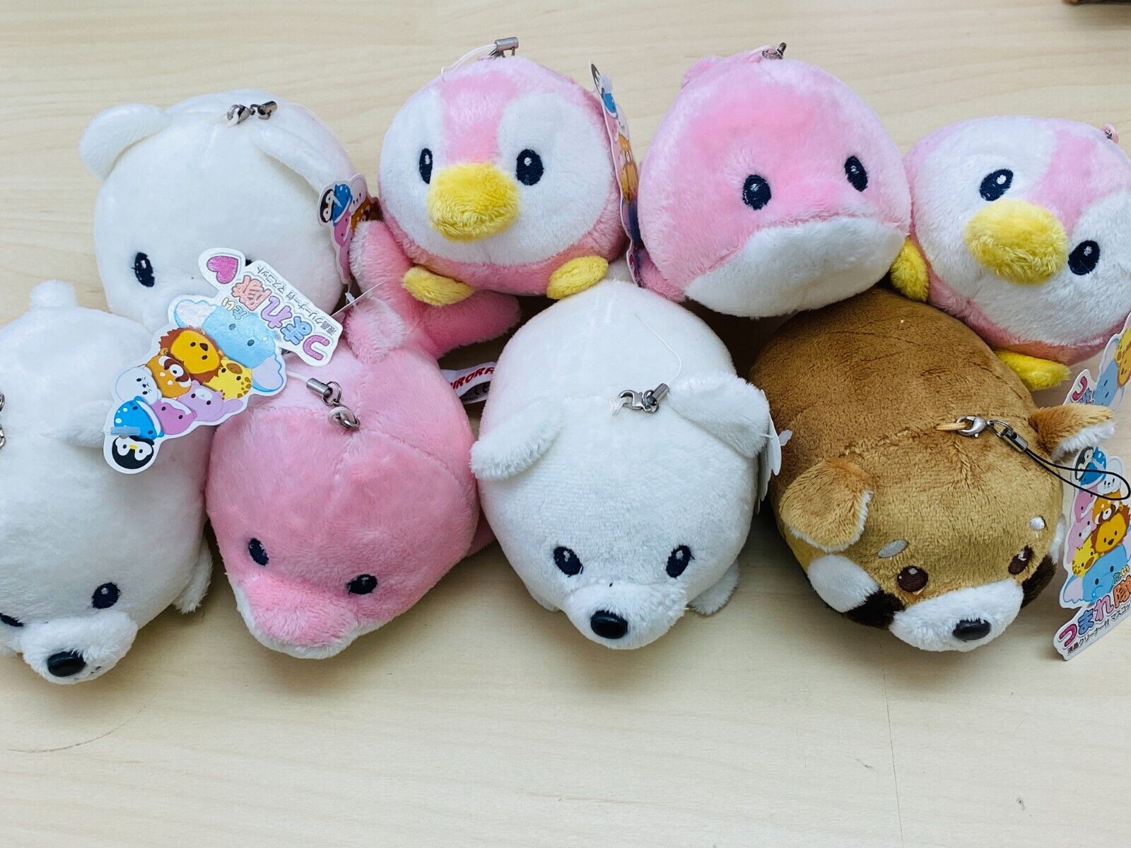 Aurora Tsumare-tai 8 Pcs set / Animal Plush Stuffed toy Doll Mascot New Japan