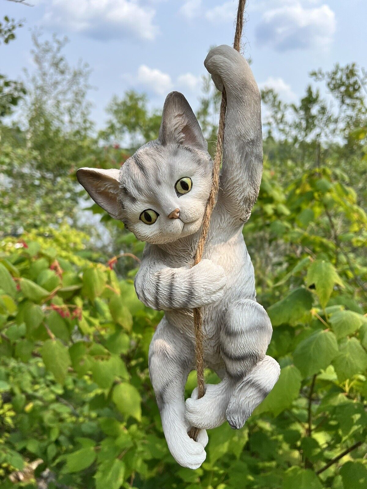 Cat Swinging on a Rope, Playful Kitten Hanging on Swing Out in Garden, Home New