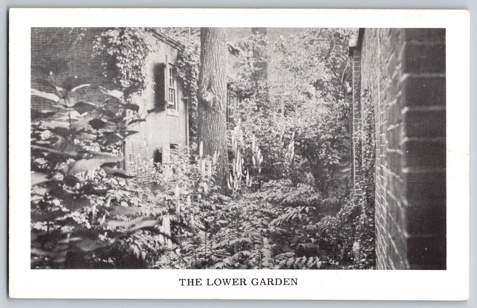 Portland, Maine - Lower Garden - Wadsworth Longfellow House - Vintage Postcard