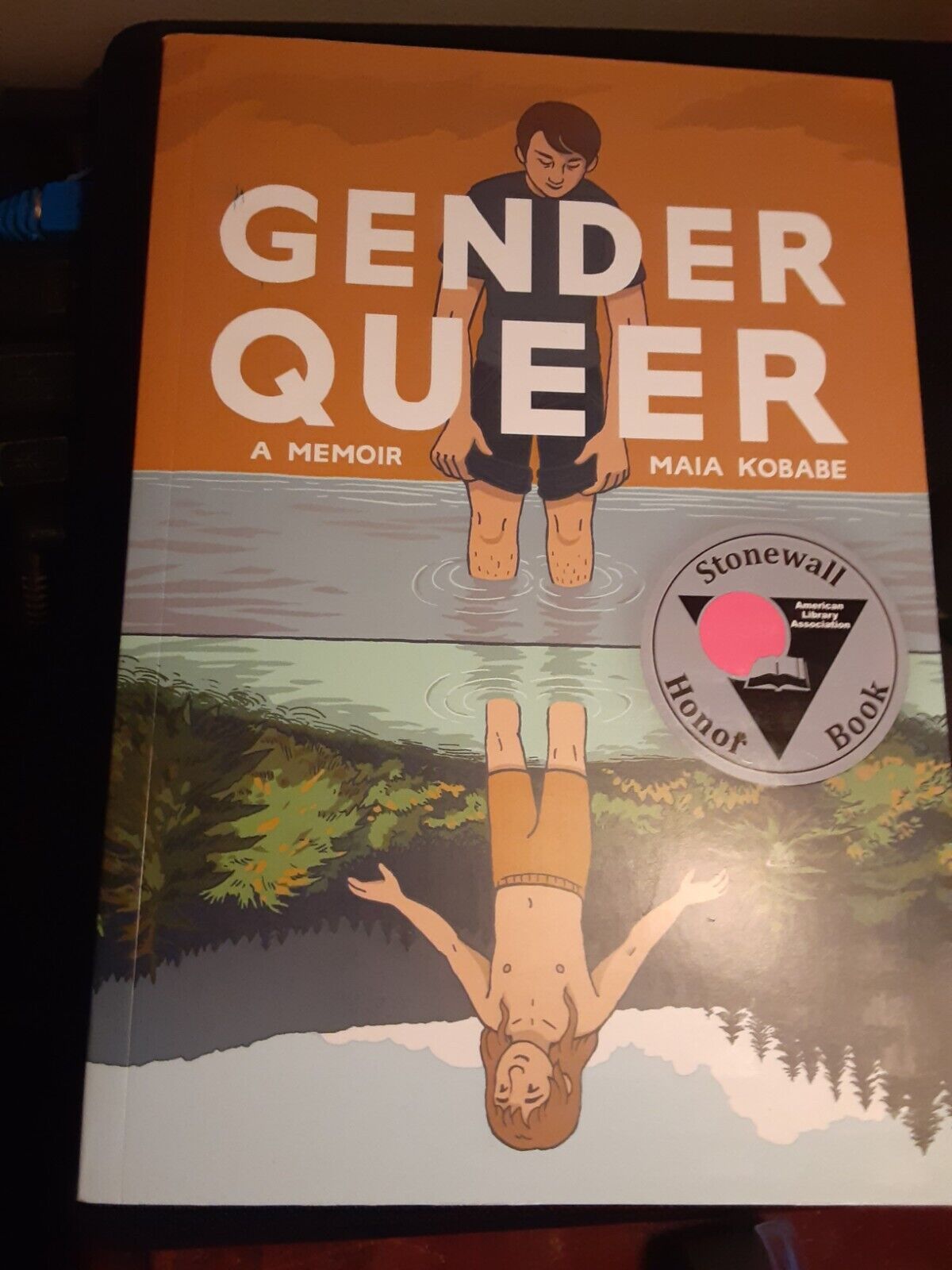 Gender Queer: A Memoir (Lion Forge, 2019)