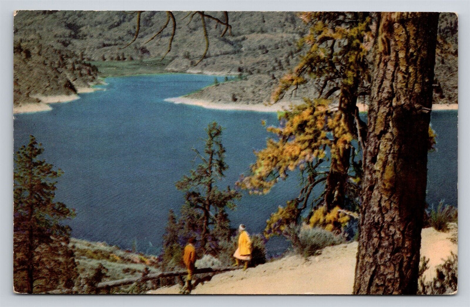Omak Lake Washington WA Vintage Postcard Union Oil 76 Advertising View