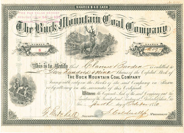 Buck Mountain Coal Co. - Stock Certificate - Mining Stocks