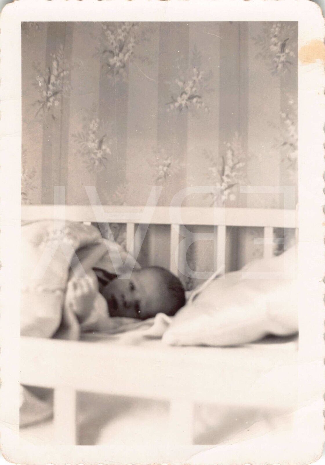 Old Photo Snapshot Baby On The Crib Looking At The Camera 2A3