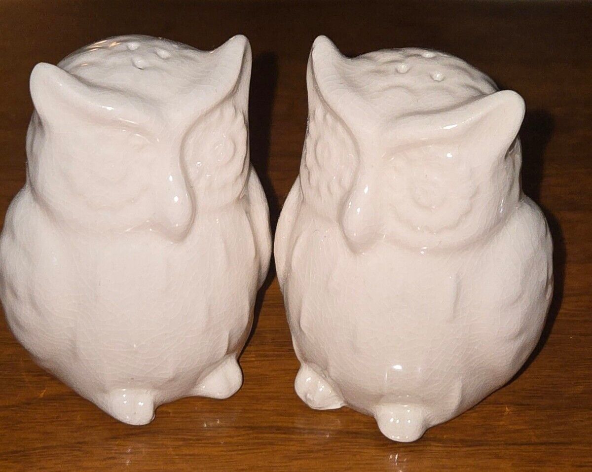 Set of 2 Owls Salt & Pepper Shakers Ceramic Snow White Target