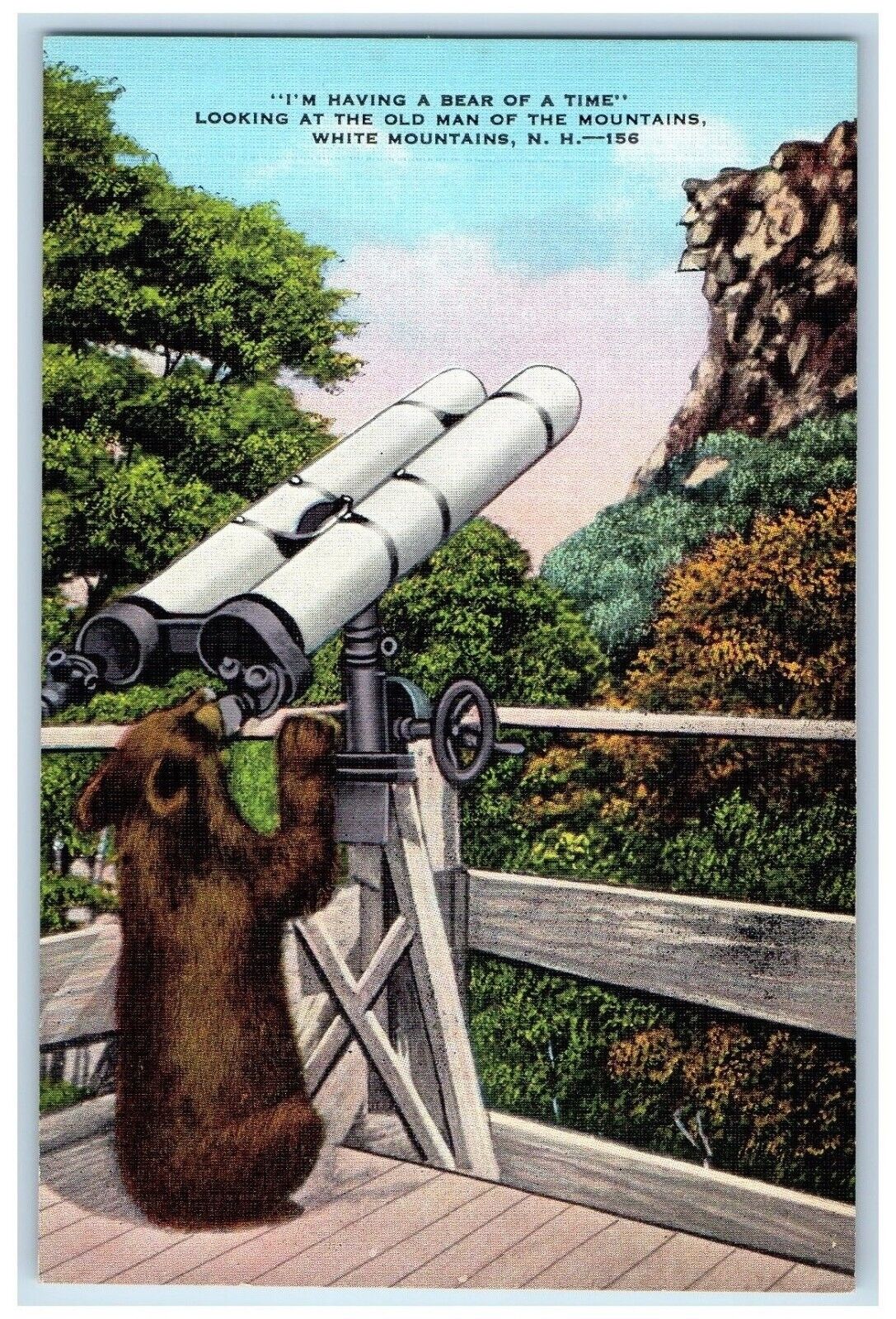 c1940 I\'m Having Bear Time Old Man Mountains White Scope New Hampshire Postcard