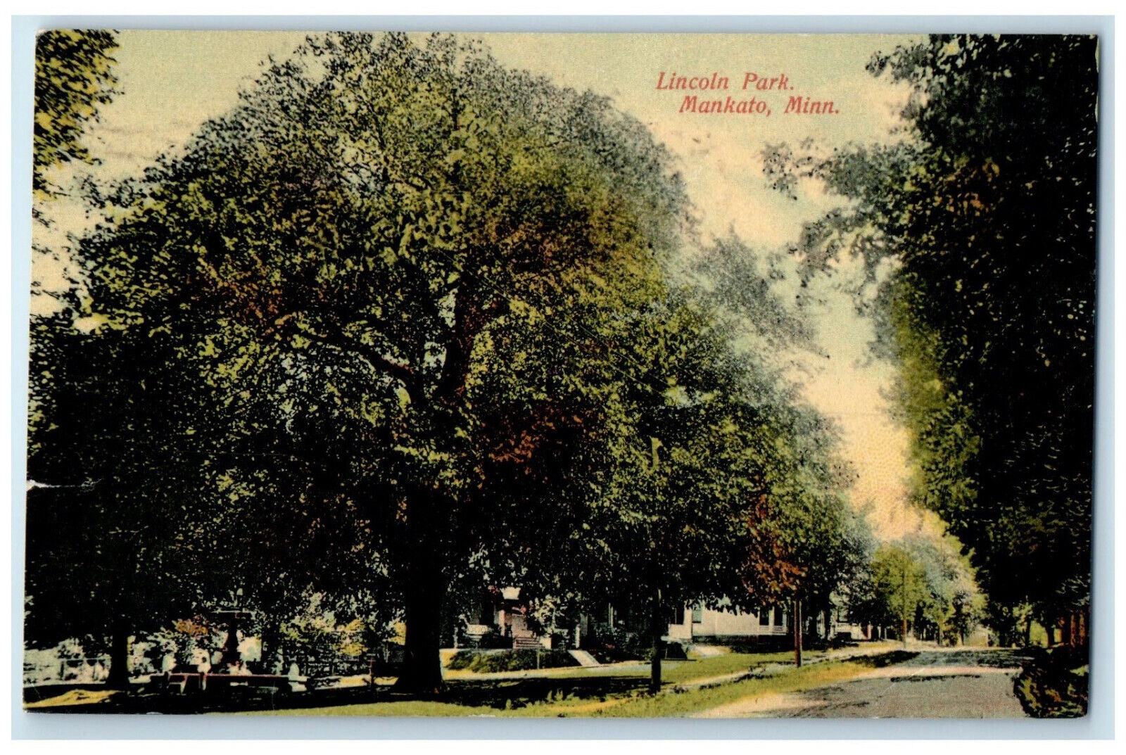 1910 Big Tree View Lincoln Park Mankato Minnesota MN Antique Posted Postcard