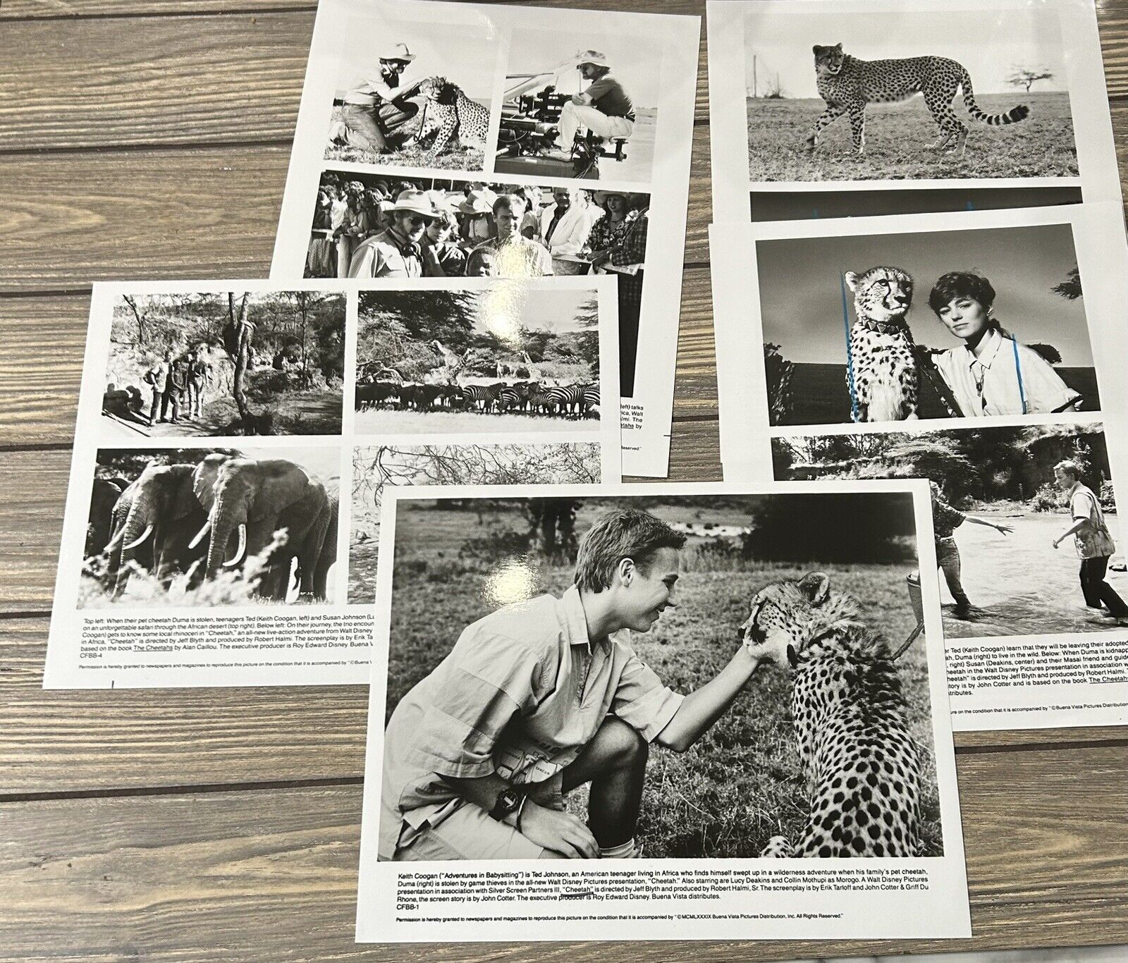 Vintage 1989 The Cheetahs Movie Press Release Set of 5 Photos 