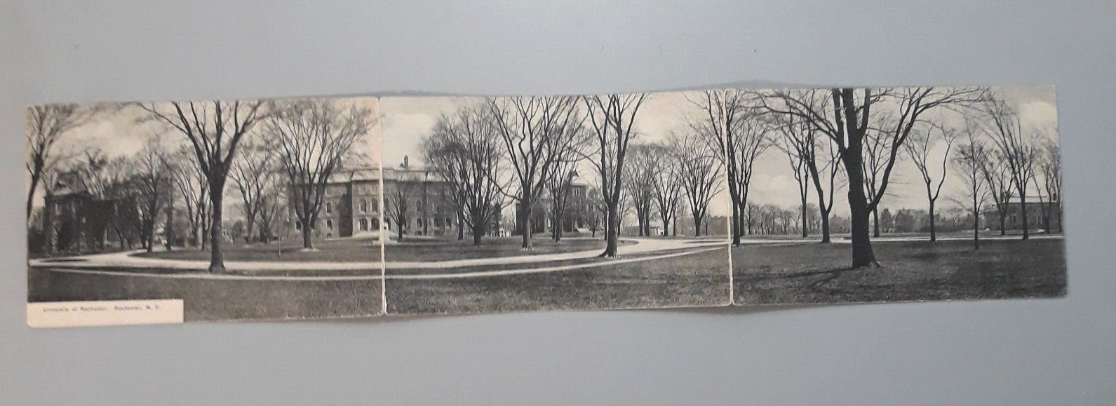 Vintage Antique 1906 Tri-fold Panoramic Postcard University of Rochester NY