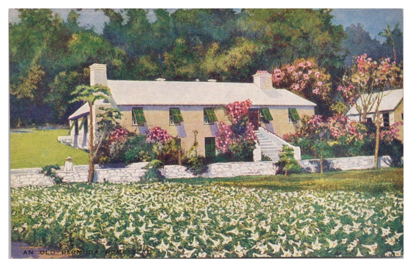 Vintage An Old Bermuda Homestead Postcard Unposted Divided Back