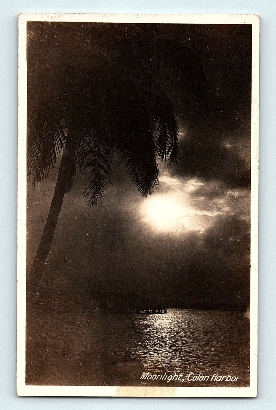 RPPC Moonlight Colon Harbor Panama Palm Tree & Pier Night View Postcard D3