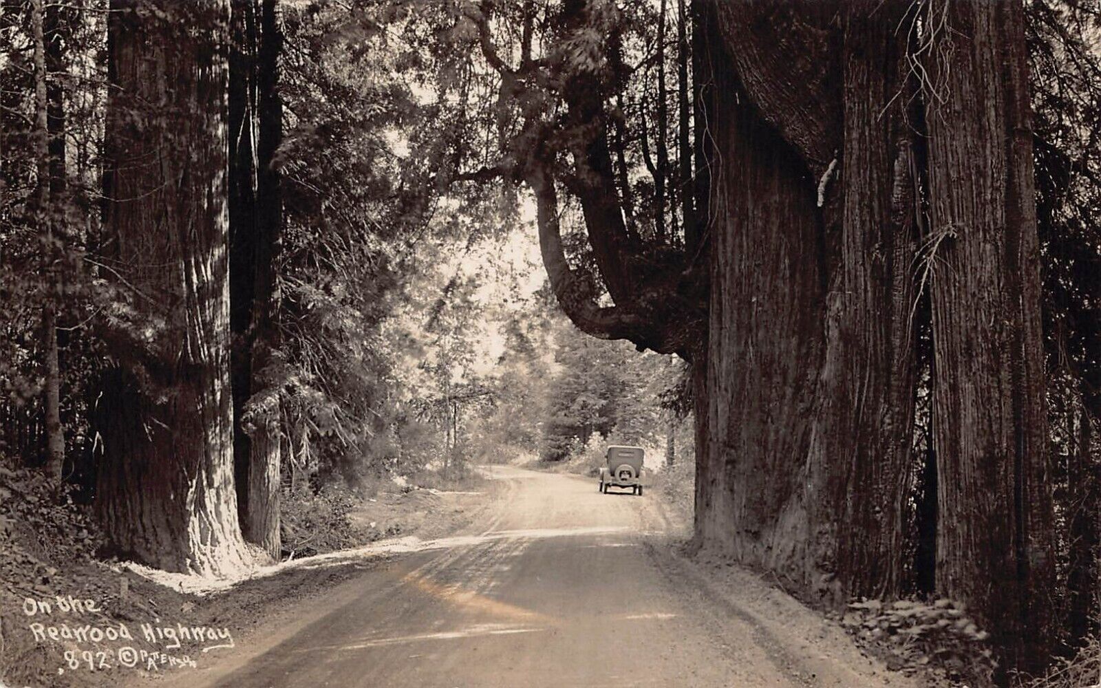 RPPC Redwood Highway CA California Classic Car Automobile Photo Vtg Postcard X1