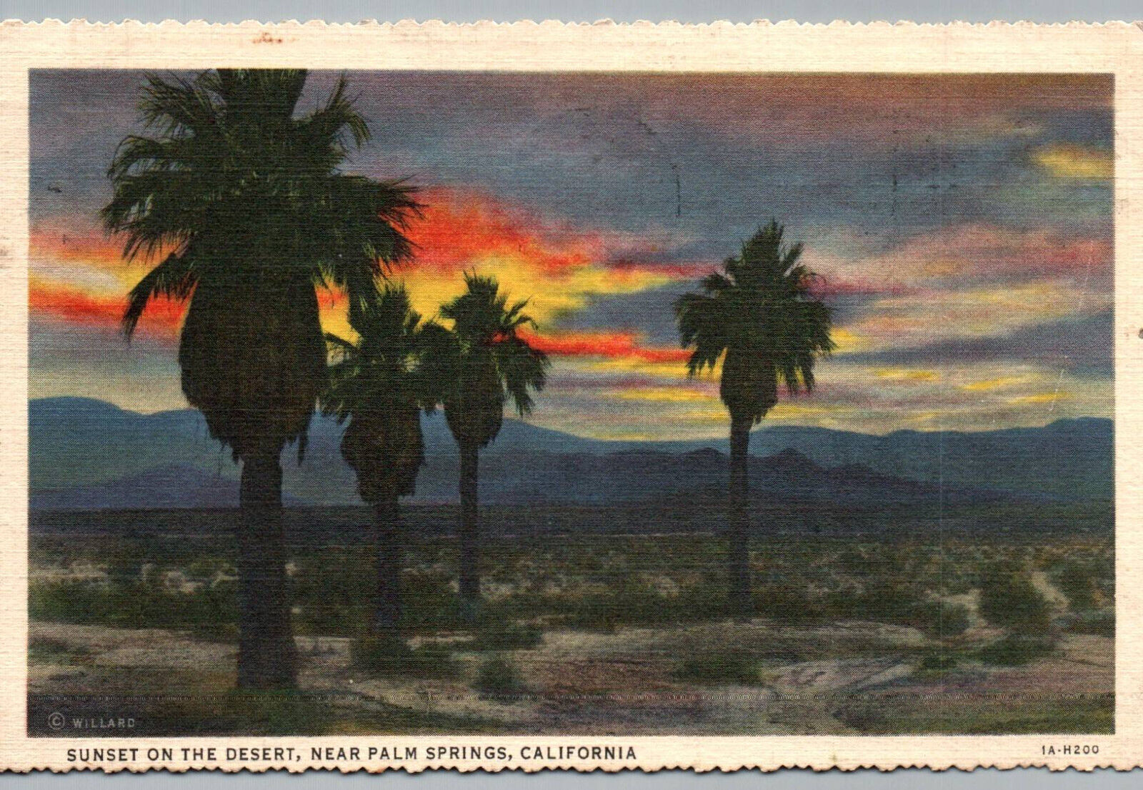 Palm Springs CA Postcard Sunset on the Desert Posted 1937 Trees Vintage Linen