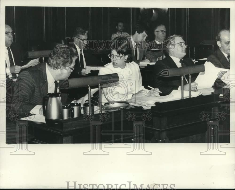 1982 Press Photo Common Council holds meeting at City Hall in Albany, New York