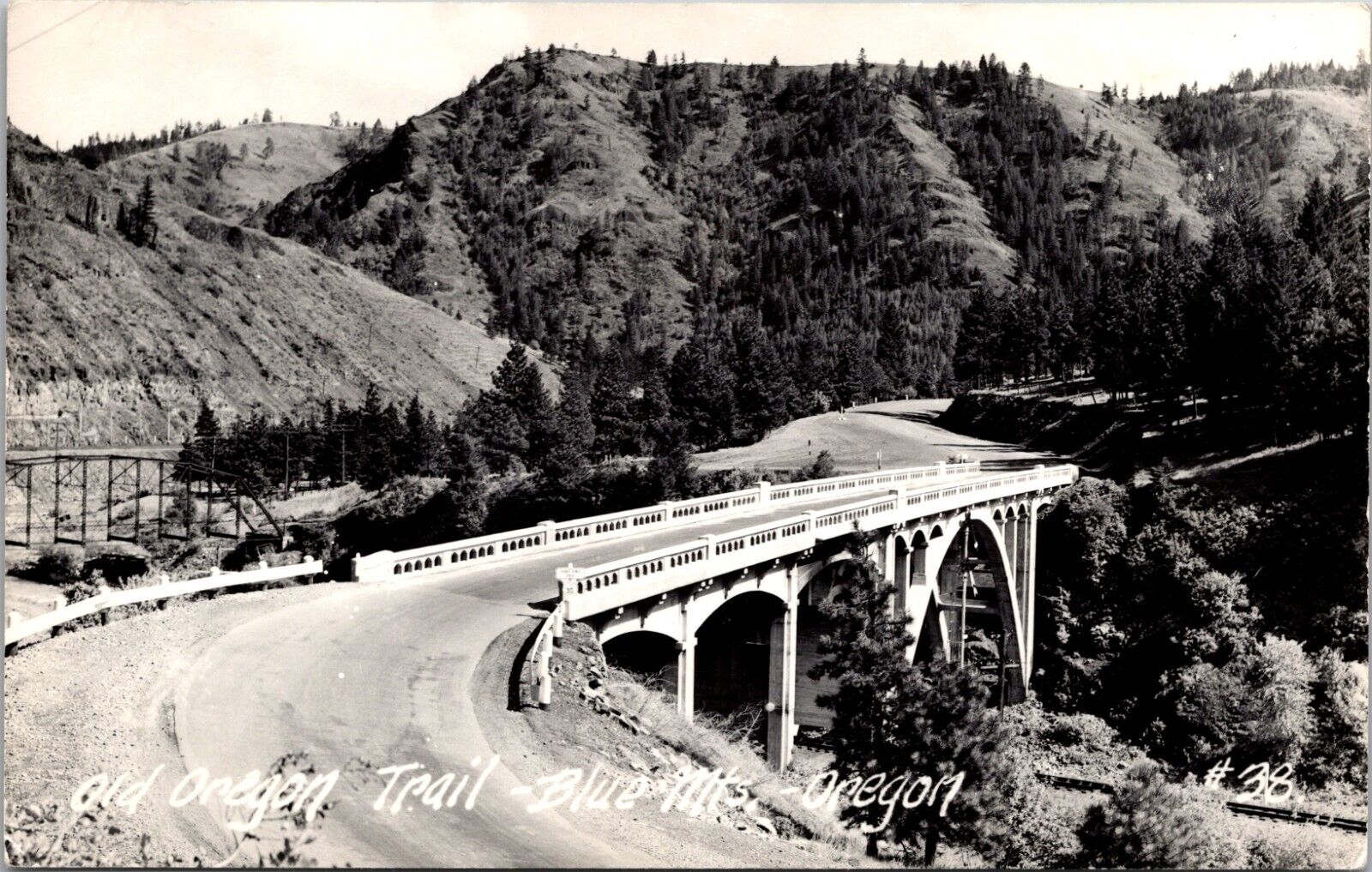 Vintage RPPC Postcard Old Oregon Trail Blue Mts Oregon