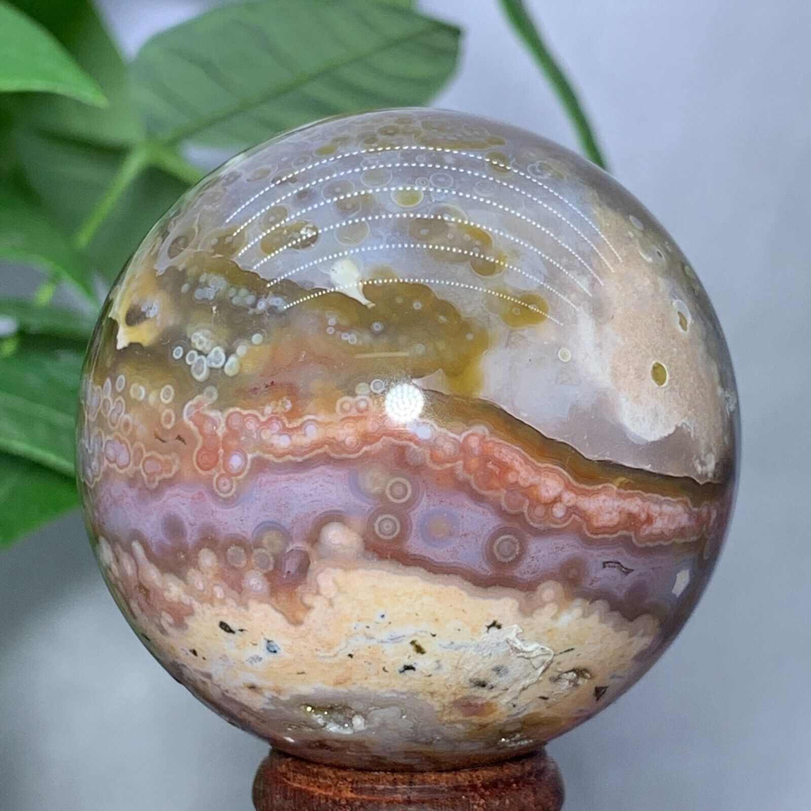 266g Rare Natural Ocean Jasper Sphere Quartz Crystal Ball Reiki Stone
