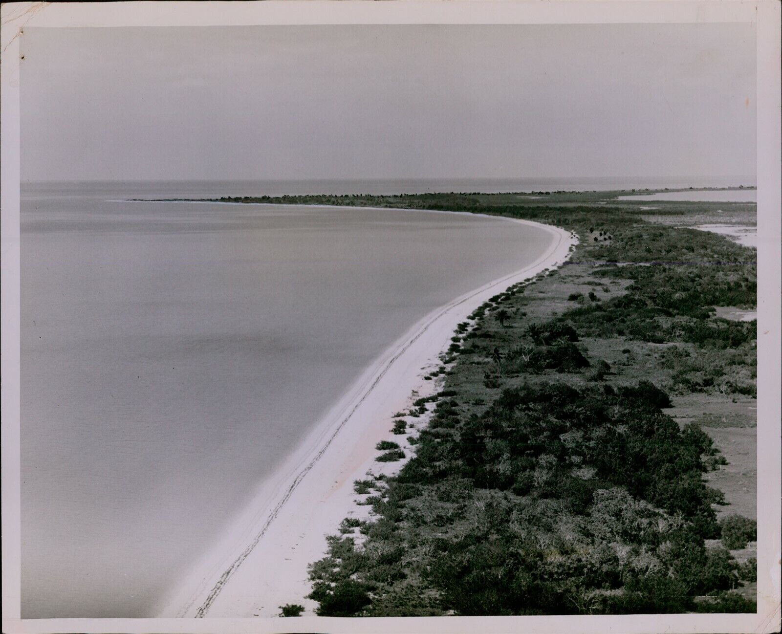 LG824 1948 Original Photo CAPE SABLE FLORIDA Beautiful Coastal View Landscape