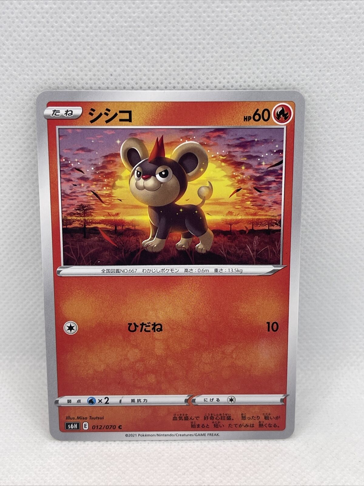 Pokémon TCG Japanese - Silver Lance - s6H 012/070 - Litleo