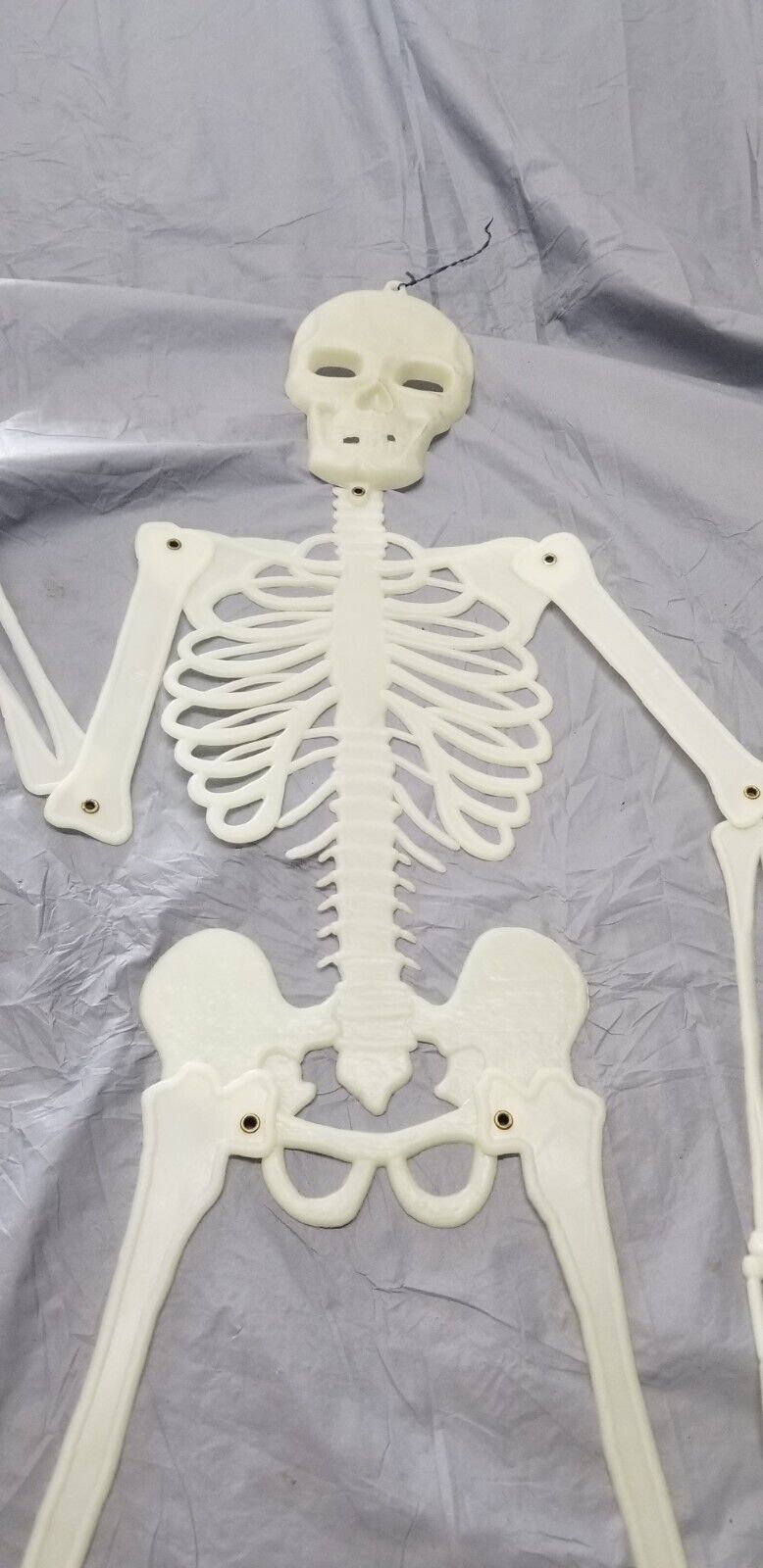 Vintage Skeleton Halloween 5 Foot Jointed Glow in the Dark Skelton-1960's-💀💀💀