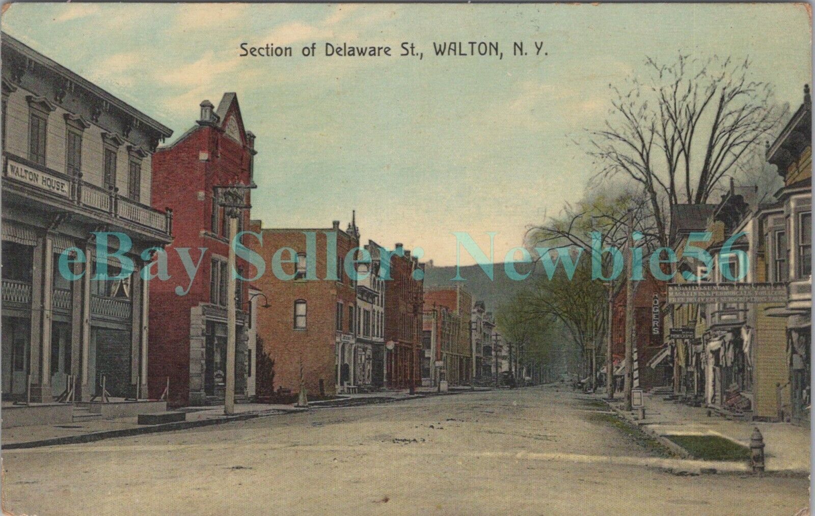 Walton NY - DELWARE STREET FROM WALTON HOUSE HOTEL - Postcard Catskills