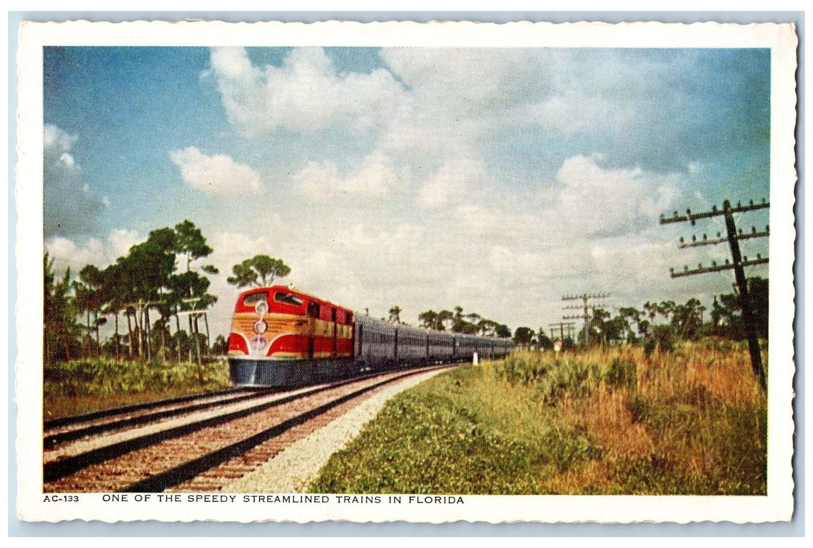 Postcard One Of The Speedy Streamline Trains In Florida Scene c1940's Vintage