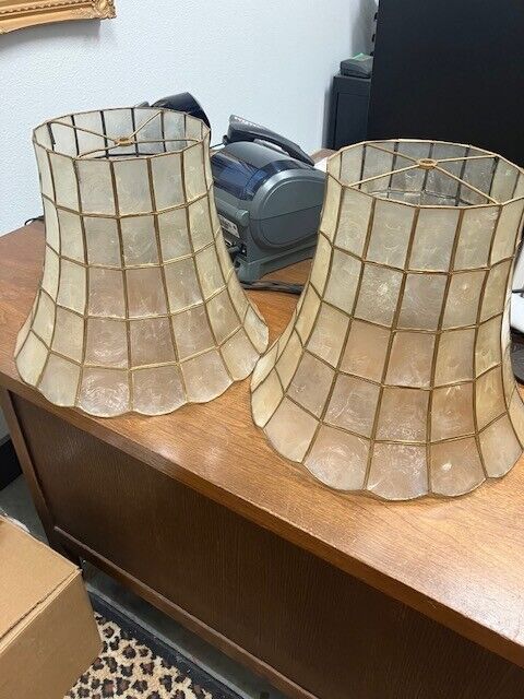 Pair of Vintage Large Capriz Shell Lamp Shades, 12\