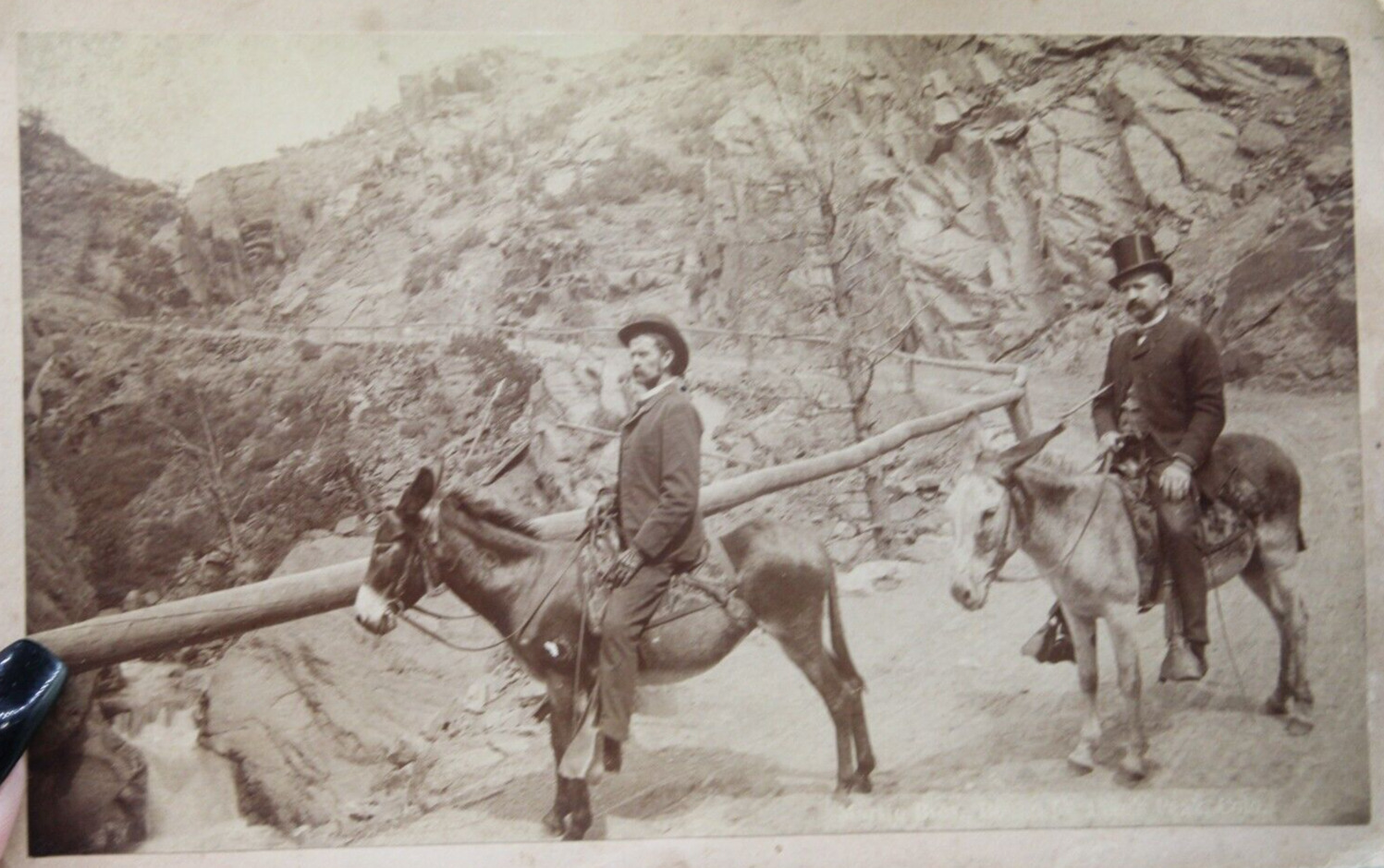 Antique Photograph 1886 Men Burros Donkeys Top Hat Canyon Martin Family