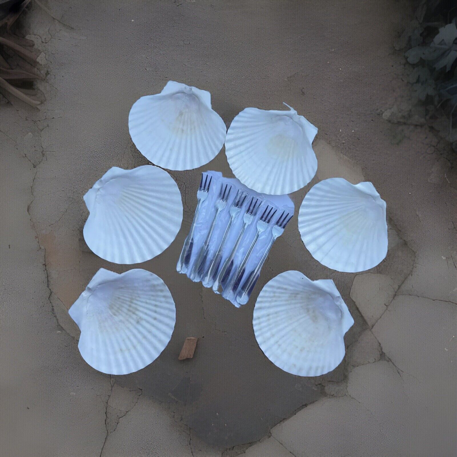 Vintage French Seashells Baking 6 Shells W/6 forks Japan LilLian Vernon NIB