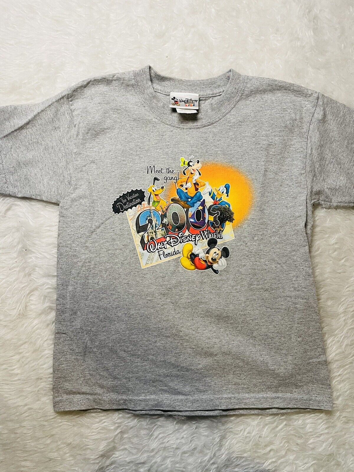 Walt Disney World kids Vintage 2003 Florida Tshirt Small Grey