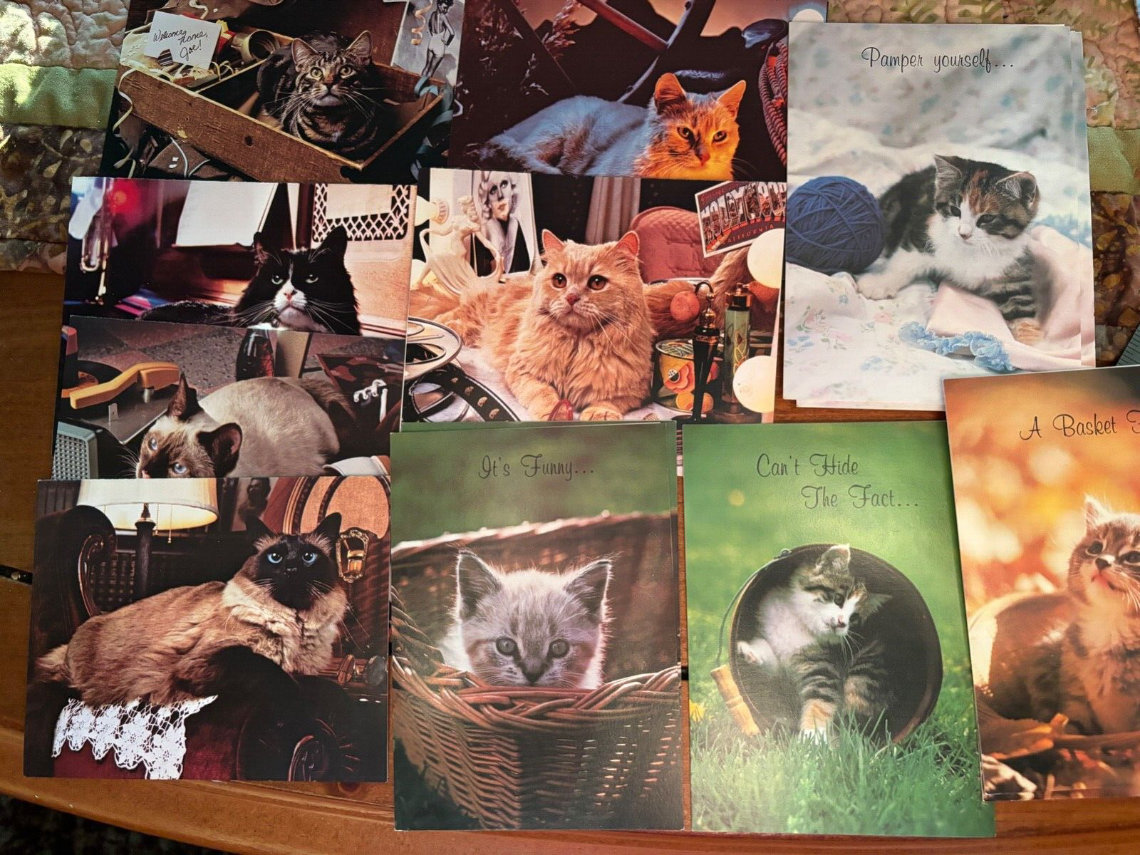 LOT of 7 Purina Cat notecards & 7 Olympicard Cat Birthday Cards NO ENVELOPES