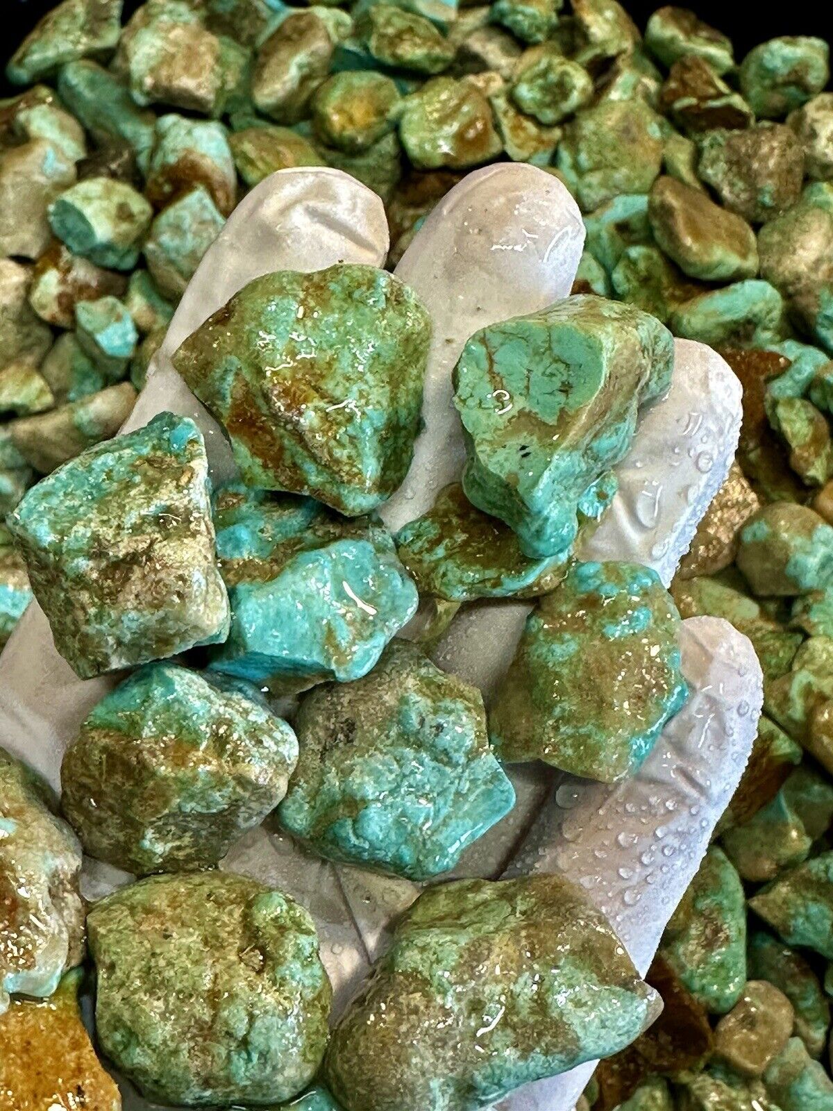 Special: Kaolin Turquoise Nugs. 1/4 LB or 115 grams of Beautiful High Blues.