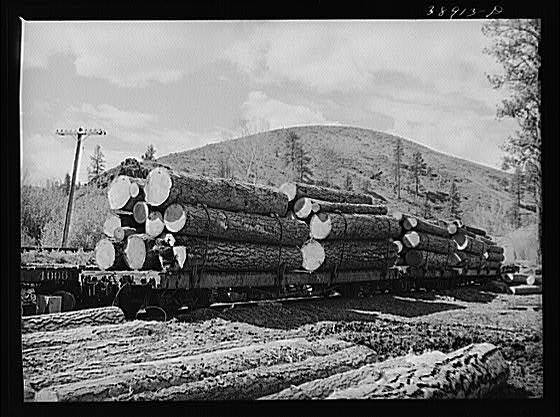 Logging Camp,Baker County,Oregon,OR,Farm Security Administration,1941,FSA,3