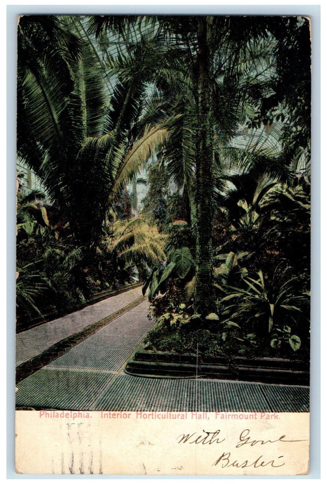 1908 Interior Horticultural Hall Fairmount Park Philadelphia PA Postcard