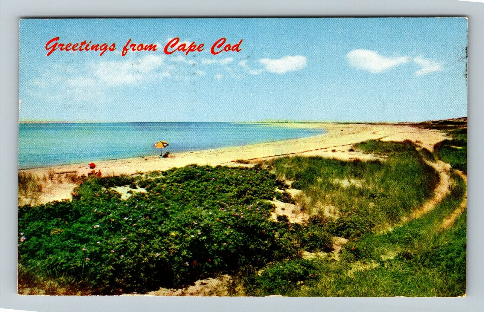Cape Cod MA-Massachusetts, Scenic Greetings, Lobster c1965 Vintage Postcard