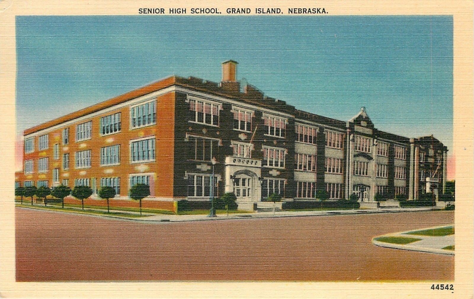 Grand Island NE~Long Short Tree Line by Senior High School~1940s~Postcard