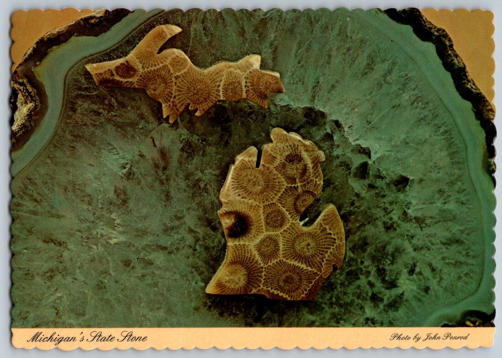 Michigan MI - Petoskey Stones - State Stones of Michigan - Vintage Postcard 4x6