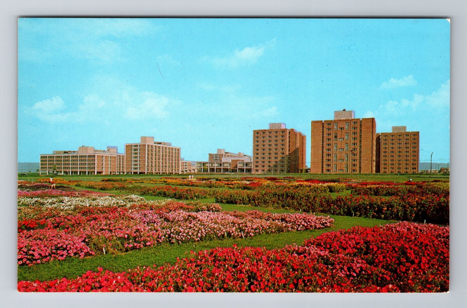 Harrisburg PA-Pennsylvania, Penn State Ag School Flower Gardens Vintage Postcard