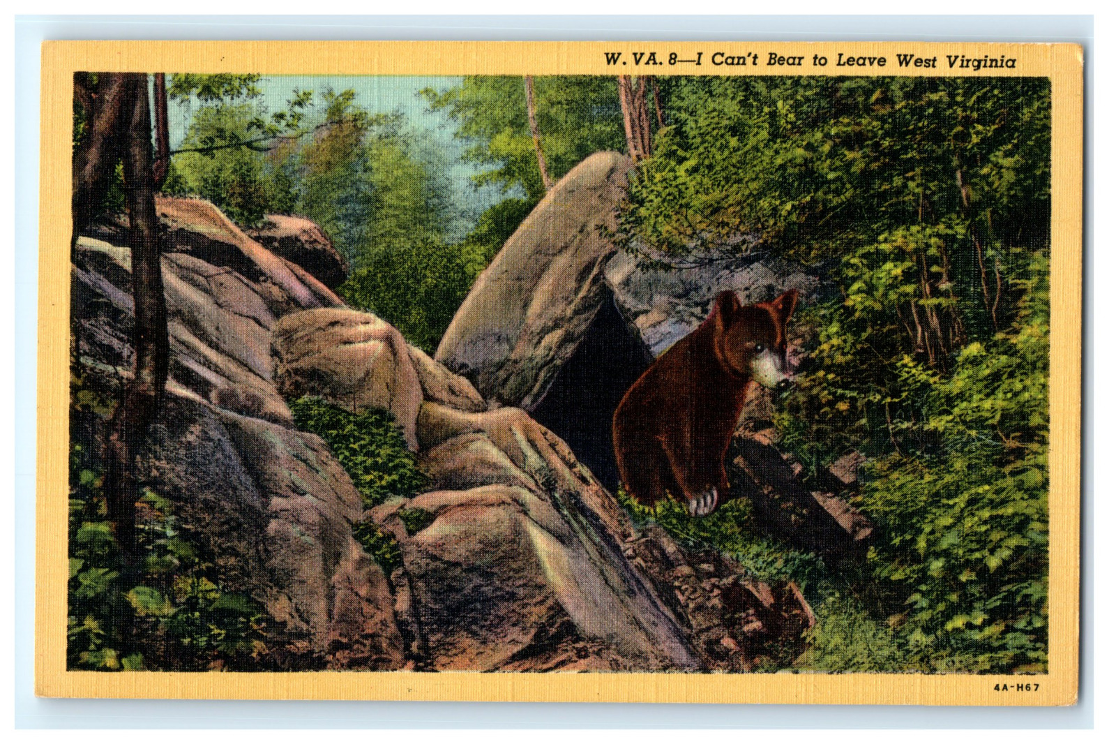 Postcard WV Humor Black Bear I Can\'t Bear to Leave West Virginia Greetings c1934