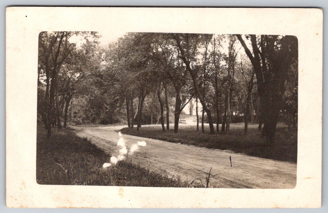 Tree Line Street Near Park in Nebraska RPPC Real Photo Postcard VTG Stamped
