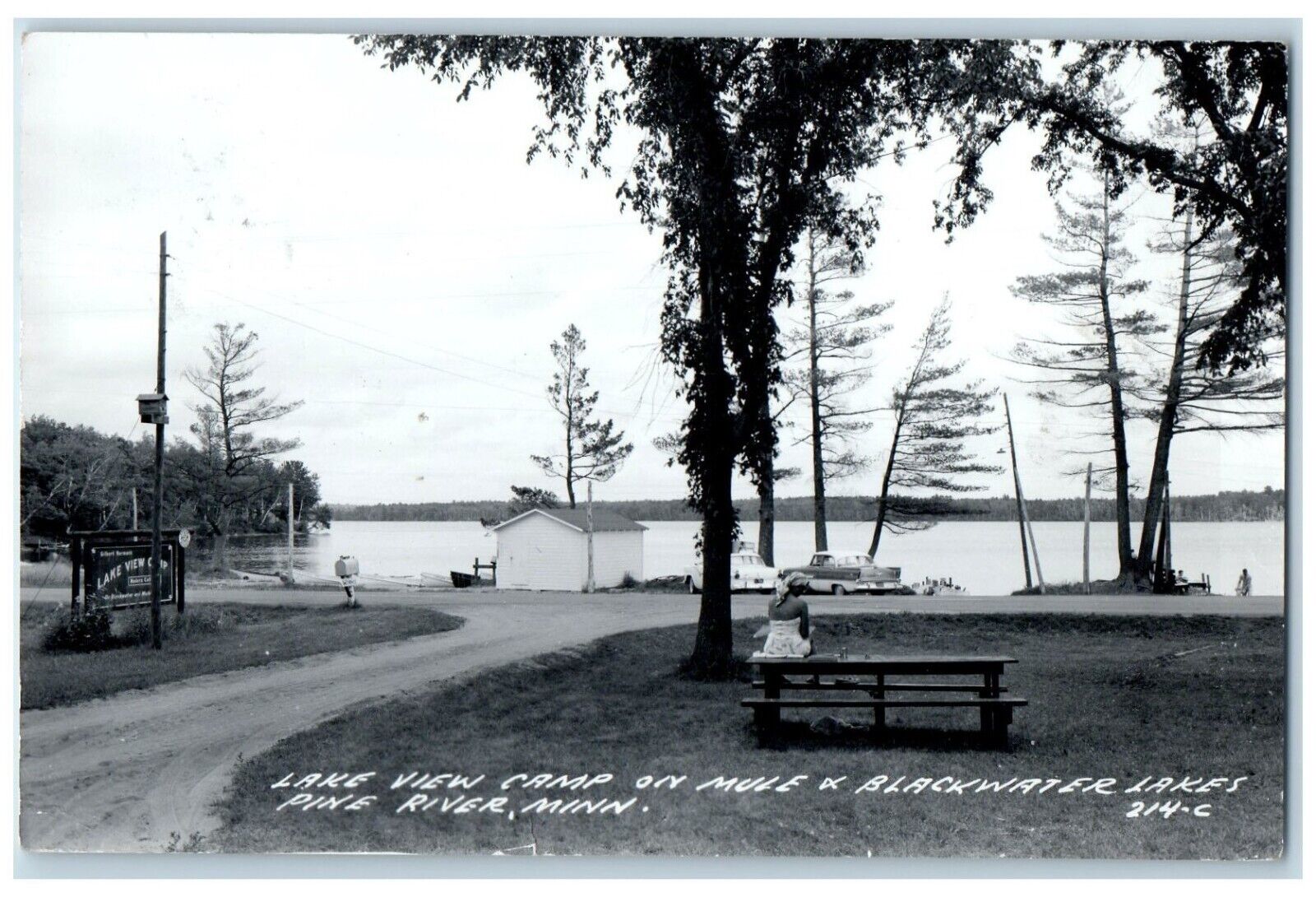 1972 Lake View Camp On Mule & Blackwater Lakes Pine River MN RPPC Photo Postcard