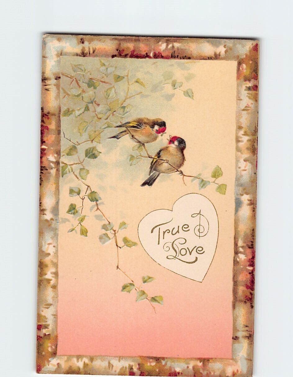 Postcard True Love with Heart Leaves Birds Art Print