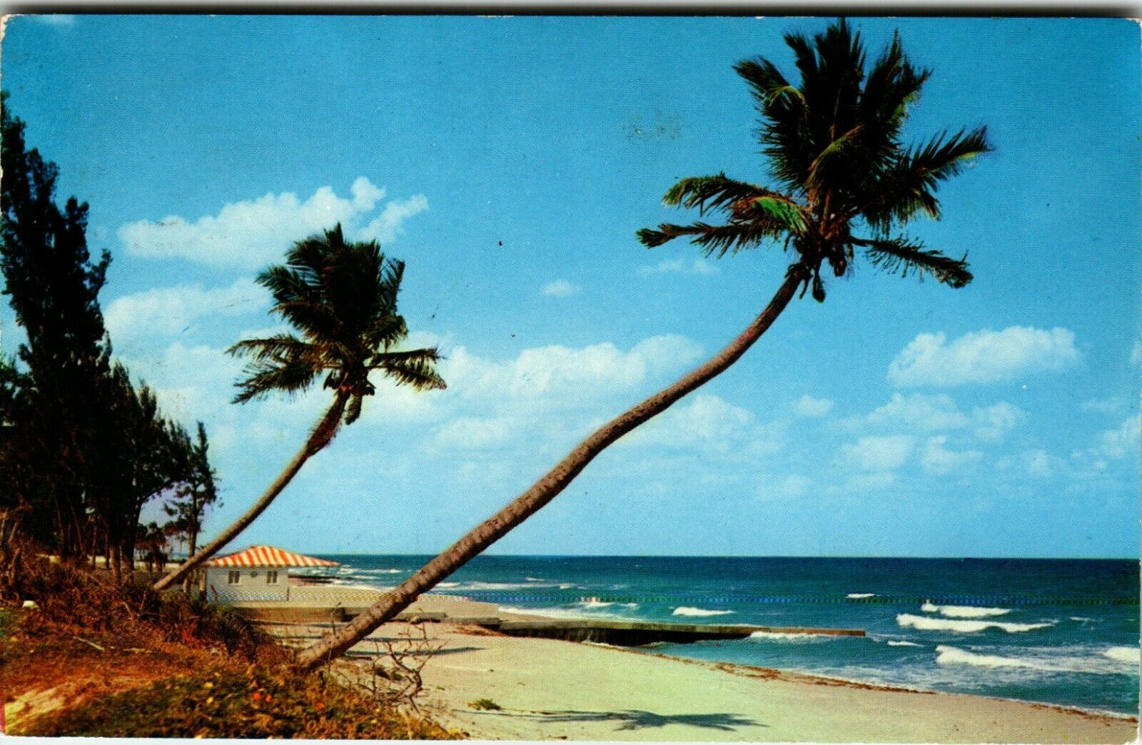 Postcard FL Whispering Palms Coast Shore Surf Beach